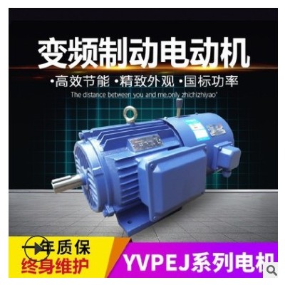 全铜YVPEJ变频制动三相异步电动机刹车抱闸电机380v减速调速马达图3