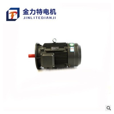 厂家直供 YE2-180M-4-18.5KW 三相异步电动机 电机 金力特厂家图3