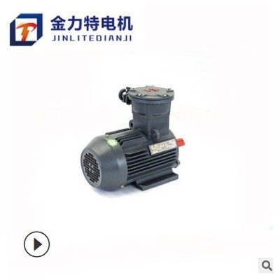 三相异步电动机 现货直供工业隔爆电机YB3-100L-6-1.5KW隔爆电机图2