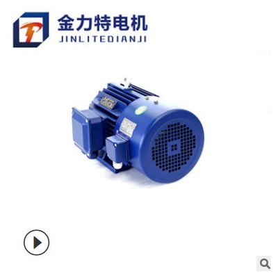 变频电机YVF2-112M-2-4KW 三相异步电动机 电动机 金力特图2