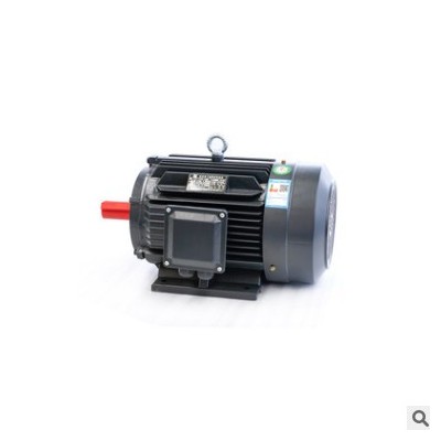 电机 YE2-132M-4-7.5KW高效节能三相异步电动机 电动机ye2-160m-4图2