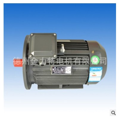 YE2-160L-6-11KW 三相异步电动机 电动机 金力特电机图2