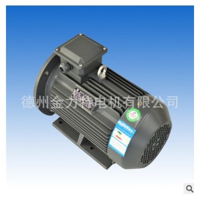 YE2-160L-6-11KW 三相异步电动机 电动机 金力特电机图3