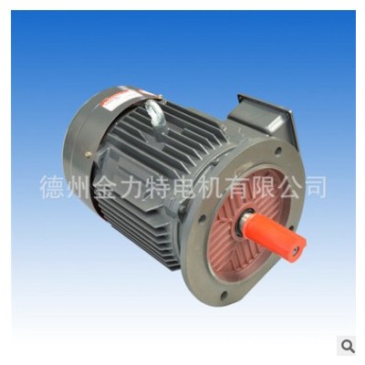 金力特电机 YE2-132M-8-3KW 电动机