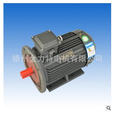 YE2-160L-6-11KW 电动机 三相异步电动机图3
