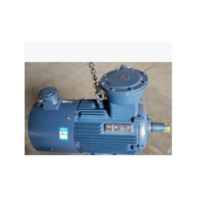 大量供应YBBP90S-4/1.1KW/千瓦防爆变频电机 批发从优图2