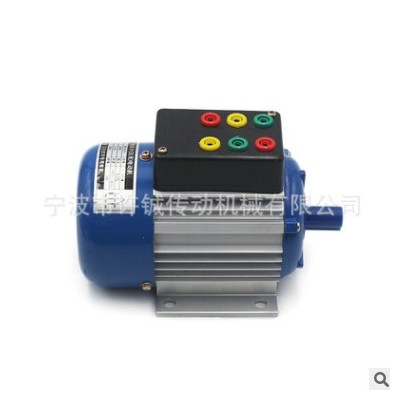 厂家供应零售批发教学电机YS6314/90W/ 180W/36V/48V电机图2