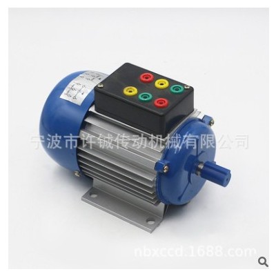 厂家供应零售批发教学电机YS6314/90W/ 180W/36V/48V电机