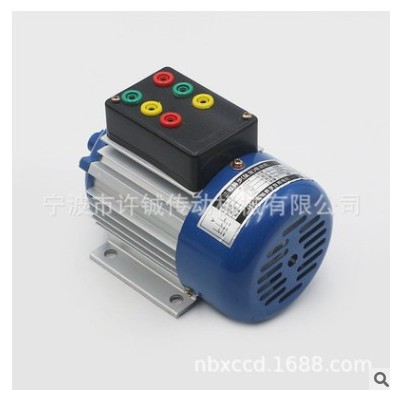 厂家供应零售批发教学电机YS6314/90W/ 180W/36V/48V电机图3