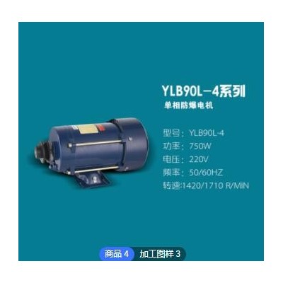 电动机单相加油550w交流电液压防爆机械设备电机生产厂家定制图2