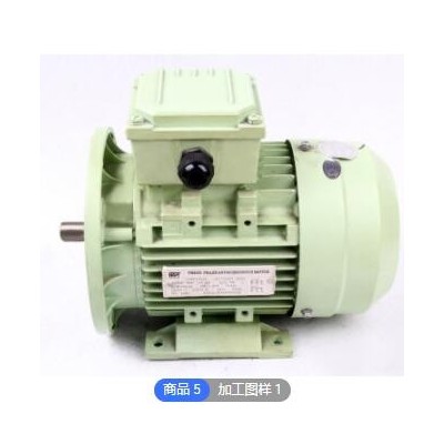 电动机变频380v三相4p卧式真空泵0.12kw防爆电机工业工厂可定制图2