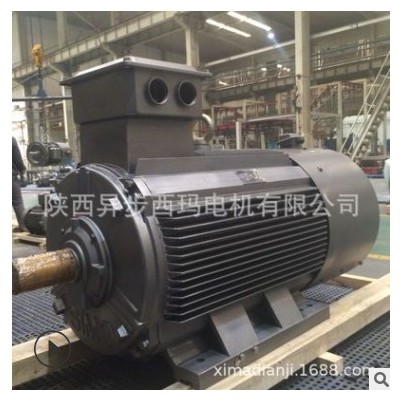 YVFE2-160M-4/11KW/V1安装方式三相变频调速电机图3