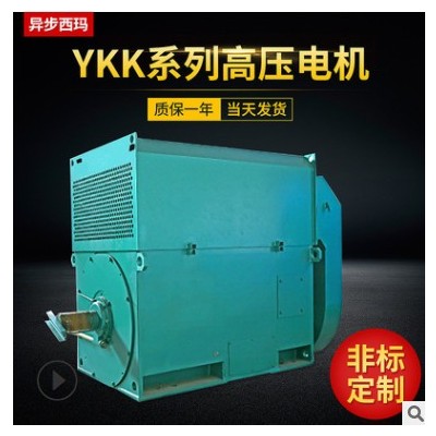 YKK450-4D-200KW-10KV 高压 三相异步电动机图2
