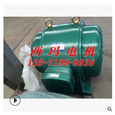 JS136-8 180KW 735rpm JS系列鼠笼电机 磨煤机电机图2