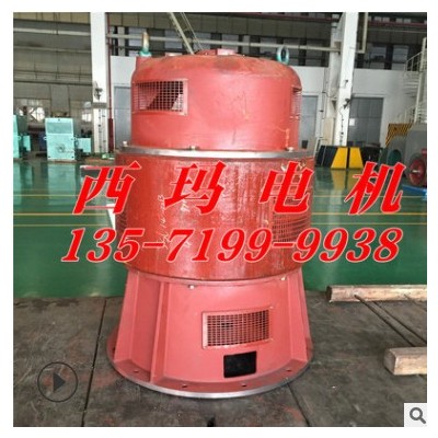 YVF2-315M-4 132KW 5-100HZ 380V三相异步变频调速电机图3