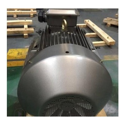 YVF2-315M-4 132KW 5-100HZ 380V三相异步变频调速电机图2