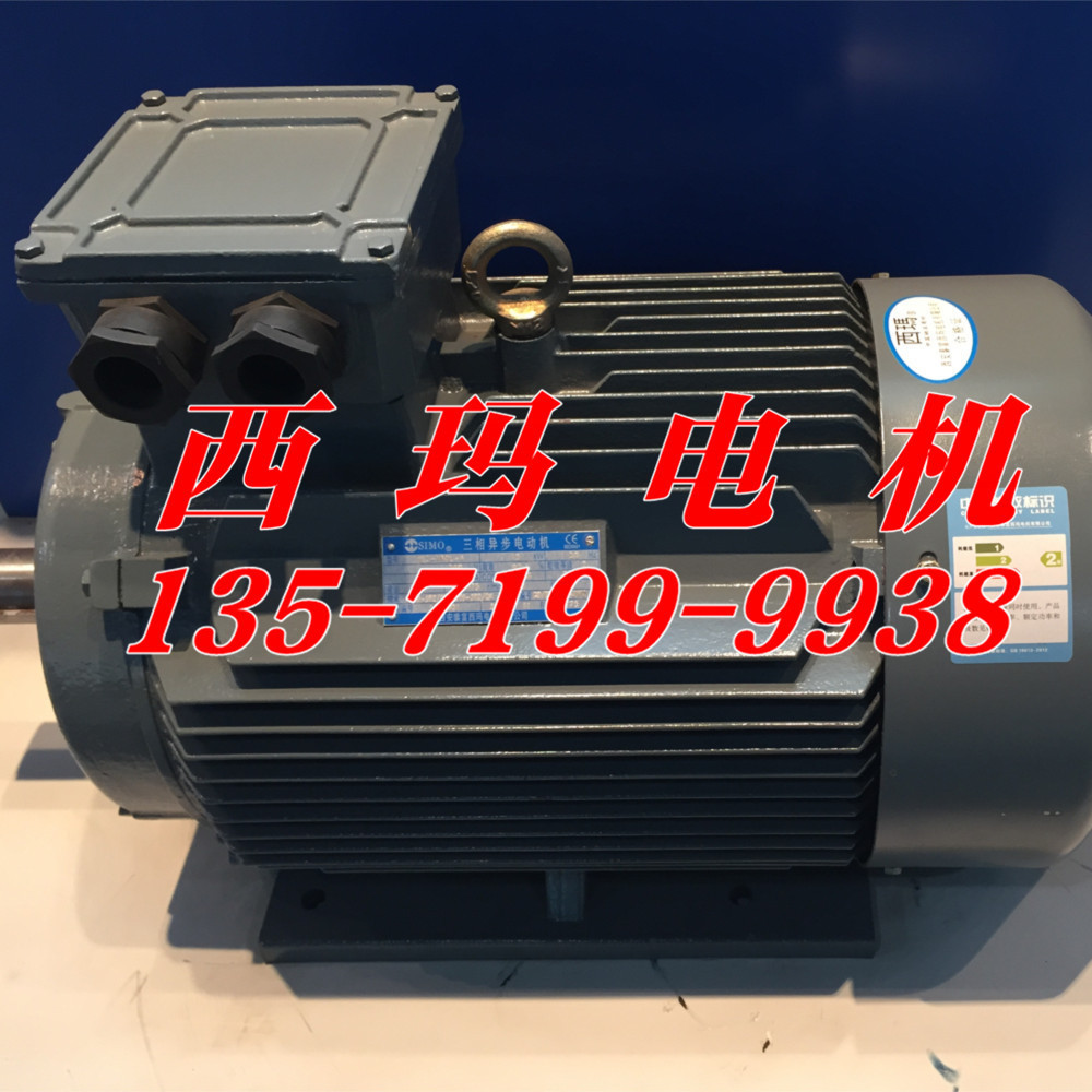 TK450-16/1430 450KW 6000V/同步高压电机
