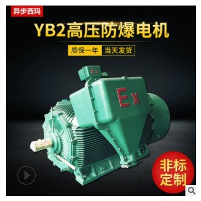 西安西玛电机厂供应YB2-5005-4 900KW 10KV隔爆型防爆高压电机图3