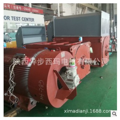 西安西玛电机厂供应YB2-5005-4 900KW 10KV隔爆型防爆高压电机图2