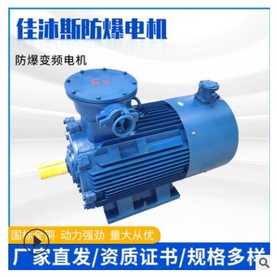 防爆变频调速电机18.5/22/30/37/45/55/75KW90/110/132千瓦铜线图2