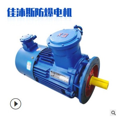 防爆变频调速电机18.5/22/30/37/45/55/75KW90/110/132千瓦铜线图3