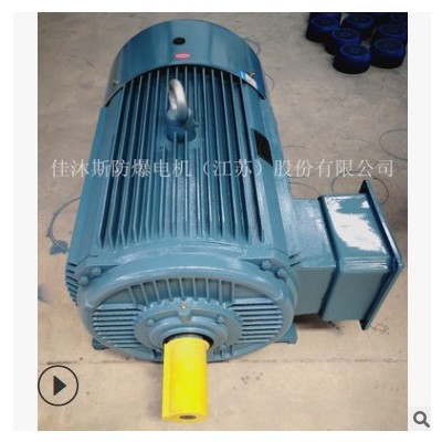佳沐斯三相异步电动机YE3-315L1-4 160KW卧式380V节能铜线马达图2