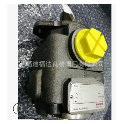 瑞士进口布赫bucher液压马达液压泵阀 RVE-G-06-1图3