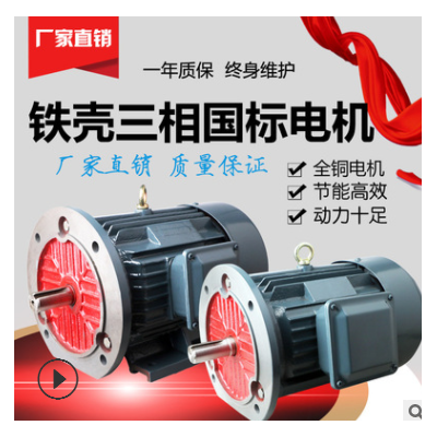 厂家直发三相异步电动机 三相电动机 交流电机 Y2 YE2 YS YX3 Y3图2