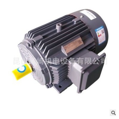西门子贝得电机22KW2极4极1TL0003-1EB43-3AA4替代1TL0001系列图3