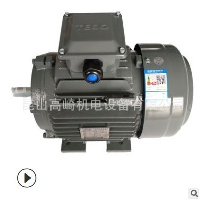 TECO无锡东元电机AEEF卧式/AEVF立式电机TEGH250M-4 90KW
