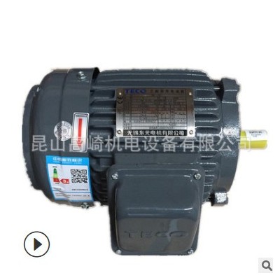 TECO无锡东元电机AEEF卧式/AEVF立式电机TEGH250M-4 90KW图3