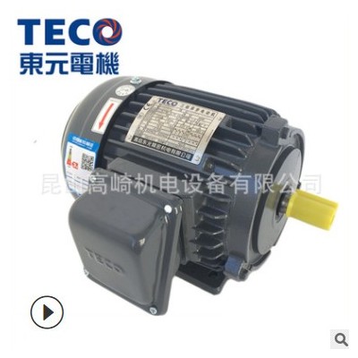 TECO无锡东元电机AEEF卧式/AEVF立式电机TEGH250M-4 90KW图2
