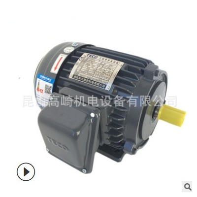 TECO东元电机2.2KW-AEEF/AEVF系列TEGH100L-4三相马达图2