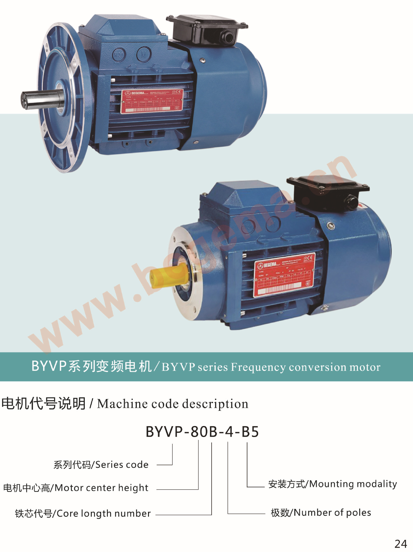 BYVP-1