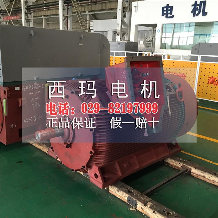 YB2-5005-4 900KW 10KV中型高压防爆电机