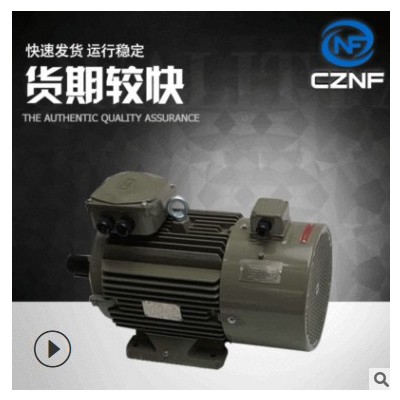 WE系列电动机电机皖南电机防爆型三相异步电动机纺织机械无刷电机图2