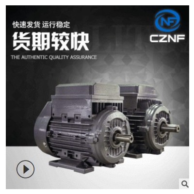 批发 皖南电机YX3电动机 皖南电机 防爆型三相异步电动机图2