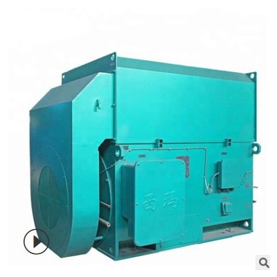 西安电机厂高压电机10KV/YKK4503-4 400KW/IP55/50HZ