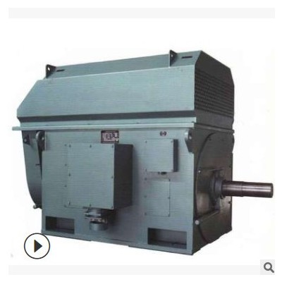 西安电机厂高压电机10KV/YKK6300-2 1400KW/IP55/50HZ图2