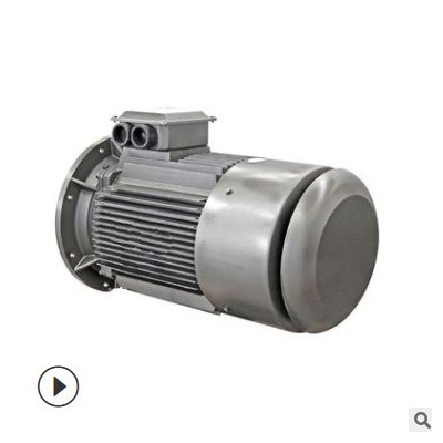西安电机厂YE4-355L-4 315KW/380V/IP55/50HZ/卧式图2