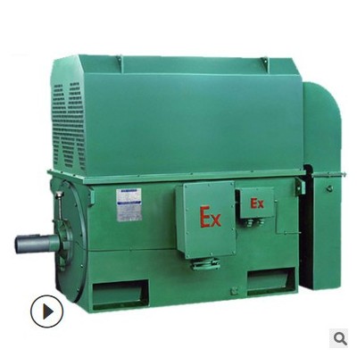 西玛电机高压10KV/YKK4002-2 220KW/IP55/50HZ图2