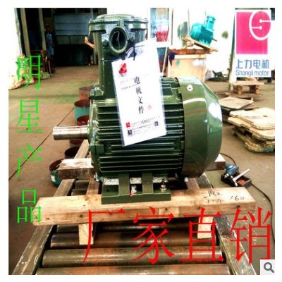 上力电机 YB3-160L-4 15KW 防爆三相异步电机 矿用电机图3