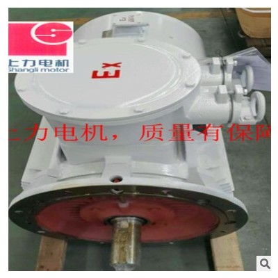 主推产品10P防爆三相异步电动机 45kw电机 明星产品电机图3