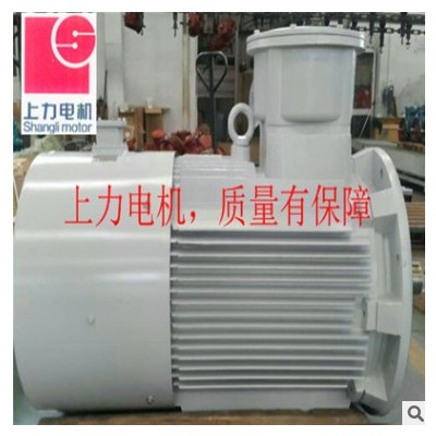 主推产品75KW8P防爆三相异步电动机 75kw电机 明星产品电机图2