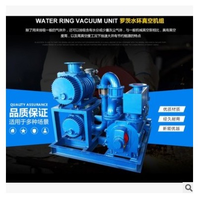 罗茨水环式真空泵机组高真空机组JZJS水环式真空泵机组