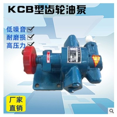 厂家直销KCB55小型微型齿轮泵油泵输送菜籽油润滑油柴油齿轮油泵图3