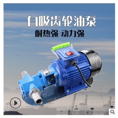 现货批发WCB75小型手提式齿轮油泵轻型便携式油泵输送机油柴油泵图2