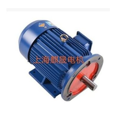 Y200L-8-15KW电机Y系列三相异步电动机参数价格图2