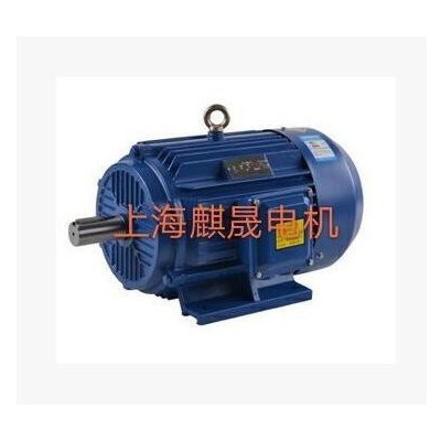 YB3-315L-4-160KW防爆型三相异步电动机参数价格图3