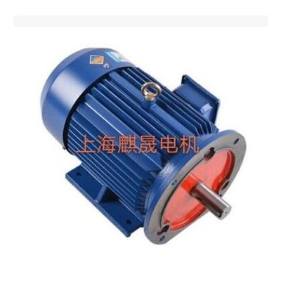 YE2-355L2-2-315KW高效节能三相异步电动机参数价格麒晟电机图2